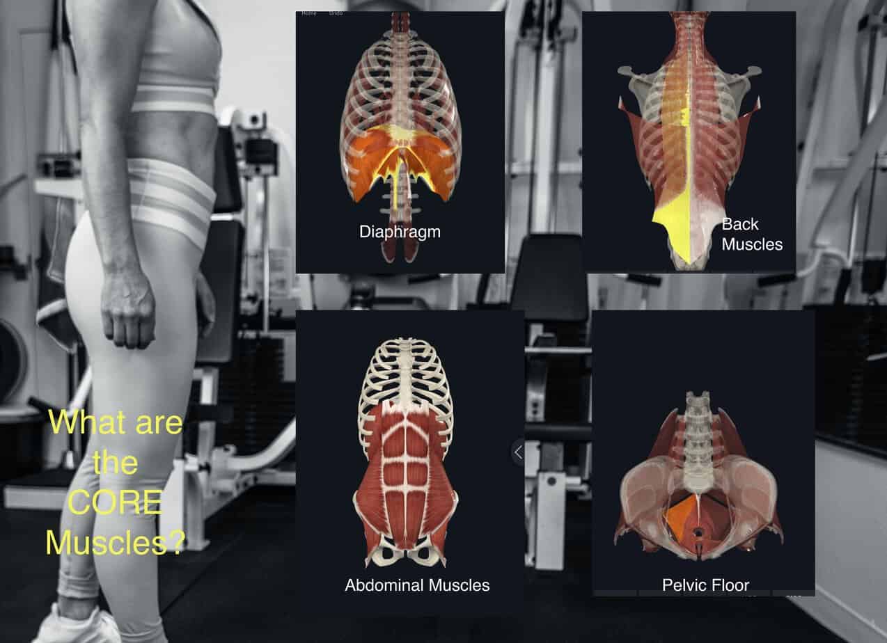 Human Core – So Much More than Abdominal Muscles